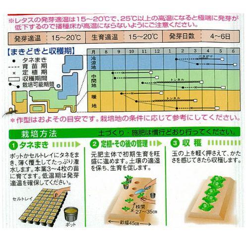 レタスの種 シスコ 小袋 GF|saien-club|02