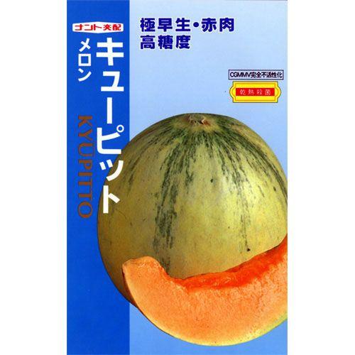 メロンの種 キューピット 8粒 ( 野菜の種 ) : 菜園くらぶ Yahoo!店