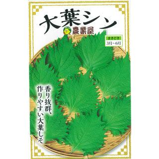 しその種 大葉シソ 小袋 (8ml) : 菜園くらぶ Yahoo!店 - 通販 - Yahoo