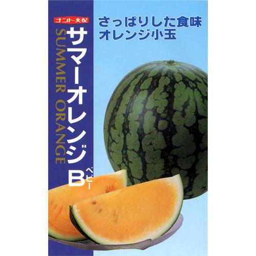 スイカの種 サマーオレンジB (ベビー) 小袋(7粒) : 菜園くらぶ Yahoo