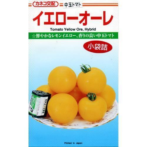 トマトの種 イエローオーレ 1，000粒 ( 野菜の種 )