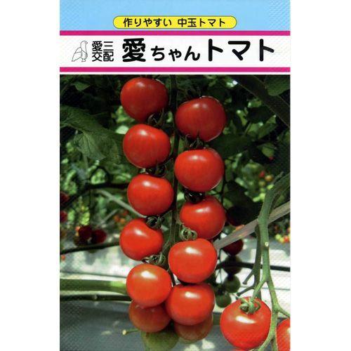 ミニトマトの種 愛ちゃん 約13粒 ( 野菜の種 ) : 菜園くらぶ Yahoo!店