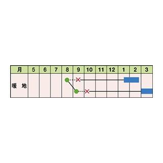 キャベツの種 一陽 コートL5千粒 ( 野菜の種 )の画像