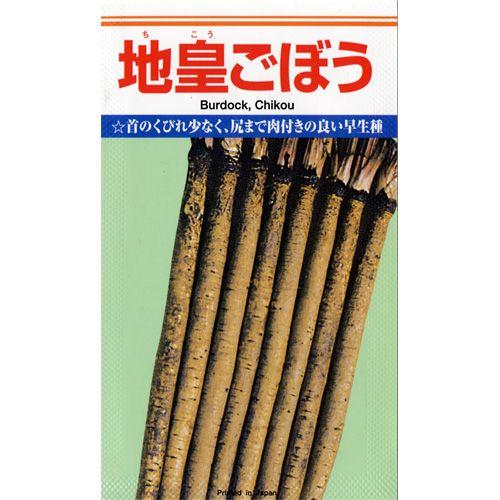 ゴボウの種 地皇 1L ( 野菜の種 )