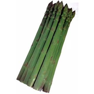 ハイデル アスパラガスの種 小袋 約ml 野菜の種 菜園くらぶ Yahoo 店 通販 Yahoo ショッピング