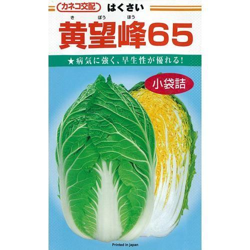 黄望峰65 (白菜の種) コート5千粒 ( 野菜の種 )