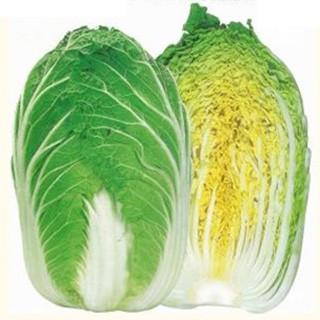 黄望峰90 (白菜の種) コート5千粒 ( 野菜の種 )