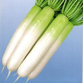 大根の種 YR夏大慶 2dl ( 野菜の種 )