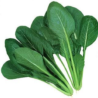 小松菜の種 1l 葉っぱもの の販売ページです よかった菜 よかった菜