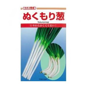 ネギの種 ぬくもり 2dl ( 野菜の種 )