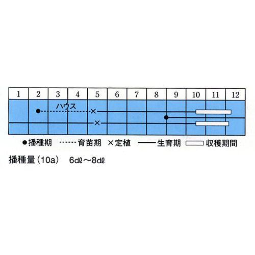 ネギの種 飛騨一本太葱 小袋 約1000粒 野菜の種 菜園くらぶ Yahoo 店 通販 Yahoo ショッピング