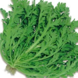 姫春菊の種１０００粒＋匿名送料無料です 春菊の種 さとにしき 1L ( 野菜の種 ) : 菜園くらぶ Yahoo!店 - 通販