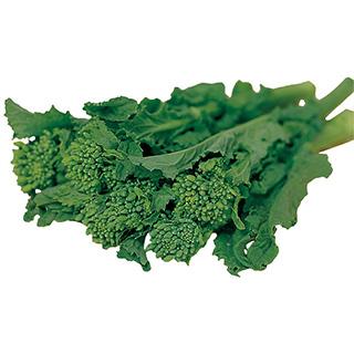 早陽一号花菜 漬け菜の種 2dl缶 野菜の種 菜園くらぶ Yahoo 店 通販 Yahoo ショッピング