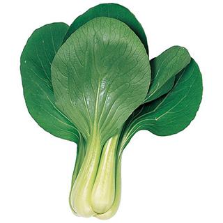 武帝 (ちんげん菜 チンゲンサイの種) 2dl缶 ( 野菜の種 )