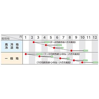 武帝 (ちんげん菜 チンゲンサイの種) 2dl缶 ( 野菜の種 )の画像