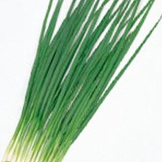 史上最も激安 ネギの種 ネギの種 小ねぎ 剣舞 1l 野菜の種 最終値下げ Atempletonphoto Com