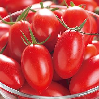 ミニトマトの種 アイコ ペレット0粒 野菜の種 菜園くらぶ Yahoo 店 通販 Yahoo ショッピング