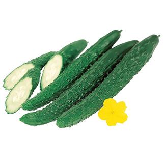 キュウリの種 味さんご 350粒 ( 野菜の種 )