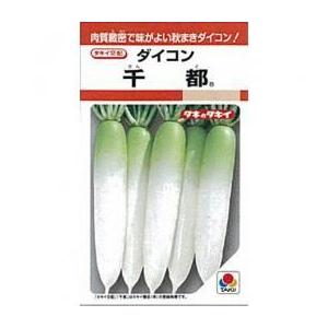 千都 千都 野菜のタネ 大根の種 花 ガーデニング 2dl缶
