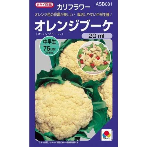 カリフラワーの種 オレンジブーケ ml 野菜の種