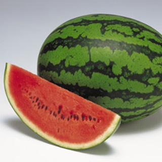 スイカの種 紅まくら 200粒 ( 野菜の種 )