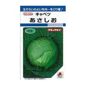 キャベツの種 あさしお L5千粒 ( 野菜の種 )
