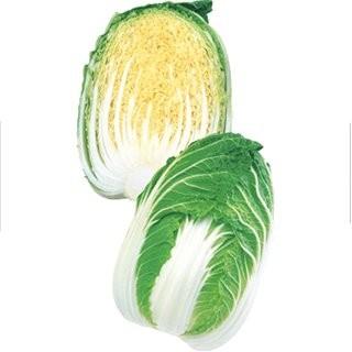 白菜の種 きらぼし77 L5千粒 ( 野菜の種 )