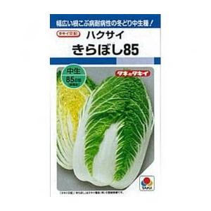 きらぼし85 (白菜の種) L5千粒 野菜の種