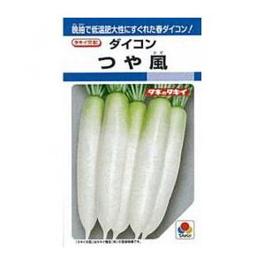 大根の種 つや風 2dl缶 ( 野菜の種 )