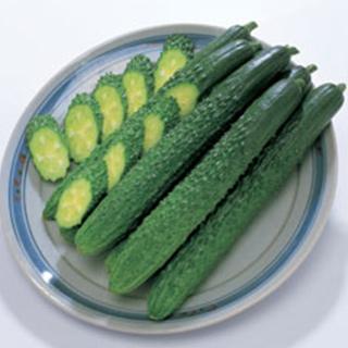 キュウリの種 シャキット 350粒 ( 野菜の種 )