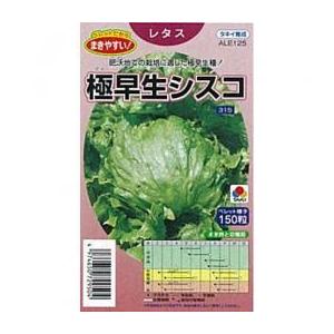 極早生シスコ 【期間限定】 レタスの種 小袋 野菜の種 おすすめ 約ペレット150粒