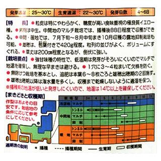 トウモロコシの種 おひさまコーン88 200粒 ( 野菜の種 )｜saien-club｜02