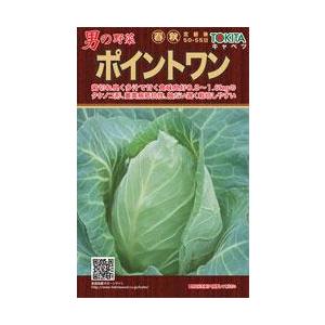 キャベツの種 トキタの男の野菜シリーズポイントワン 小袋 約1ml