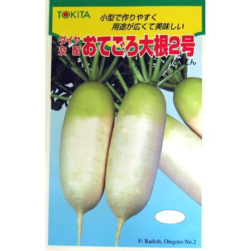 MJPJX9VF9C7