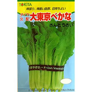 大東京べかな レビュー高評価の商品！ べか菜の種 小袋 野菜の種 約20ml 再入荷