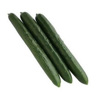 キュウリの種 つやみどり 10ml ( 野菜の種 )