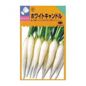 二十日大根の種 ホワイトキャンドル 2dl 野菜の種 Rstheresia Com