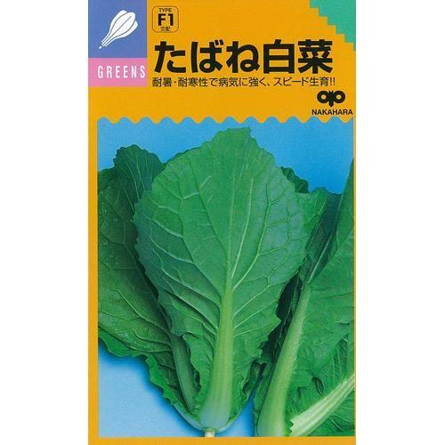 たばね白菜 超格安価格 9周年記念イベントが 白菜の種 小袋 野菜の種 約3.5ml