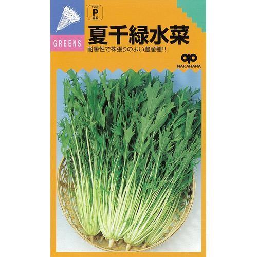 夏千緑水菜 (水菜、京菜の種) 2dl ( 野菜の種 ) : 菜園くらぶ Yahoo!店