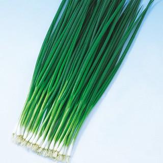 リピート多数 【即日発送】 M1LT6B2L3T1 型番:M1LT6B2L3T1