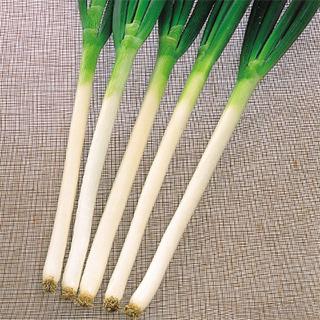売れ筋 【即日発送】 MHU4E68R6KX 型番:MHU4E68R6KX