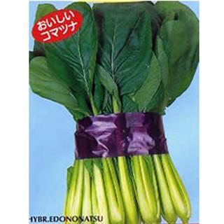 江戸の夏 (小松菜の種) 1L缶 ( 野菜の種 ) :5140138:菜園くらぶ Yahoo!店 - 通販 - Yahoo!ショッピング