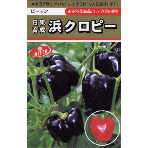 ピーマンの種 浜クロピー 約1.2ml ( 野菜の種 ) : 菜園くらぶ Yahoo!店