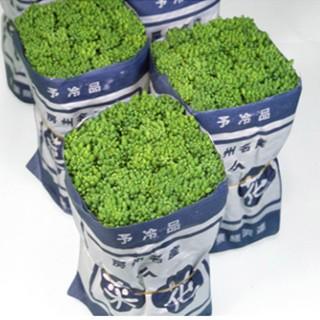 ナバナCR春華 (菜の花の種) 1dl ( 野菜の種 ) : 菜園くらぶ Yahoo!店