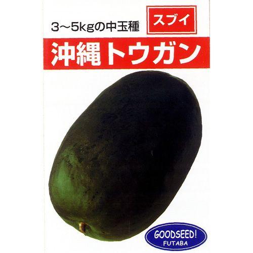 冬瓜(トウガン)の種 沖縄冬瓜 小袋 約5ml ( 野菜の種 ) : 菜園くらぶ