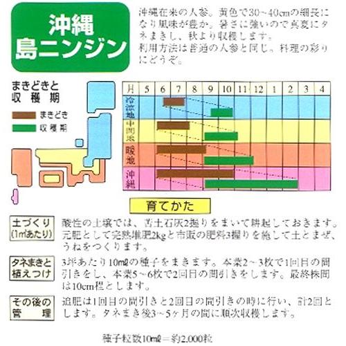 人参の種 沖縄島ニンジン 小袋 約10ml ( 野菜の種 )|saien-club|02