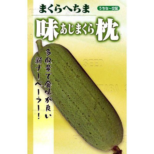 ヘチマの種 味枕  小袋 約10粒 家庭菜園 緑のカーテンにおすすめの 野菜種♪ ( 野菜の種 )｜saien-club