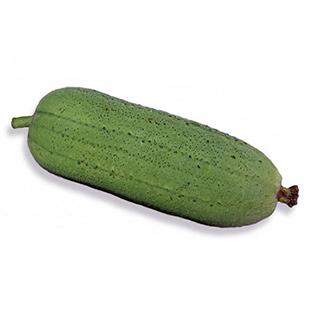 ヘチマの種 味枕  100粒 家庭菜園 緑のカーテンにおすすめの 野菜種♪ ( 野菜の種 )｜saien-club