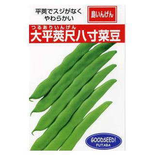 つるありインゲン豆の種 沖縄島インゲン 大平莢尺八寸菜豆 つるあり 1dl 野菜の種 菜園くらぶ Yahoo 店 通販 Yahoo ショッピング