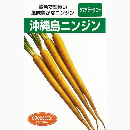 人参の種 沖縄島人参 1L ( 野菜の種 )